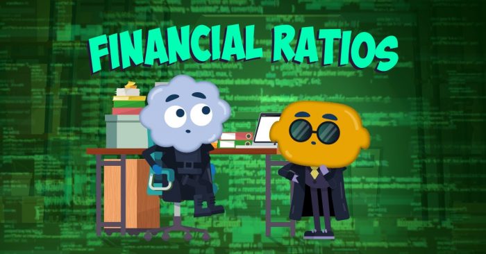 Financial Ratios