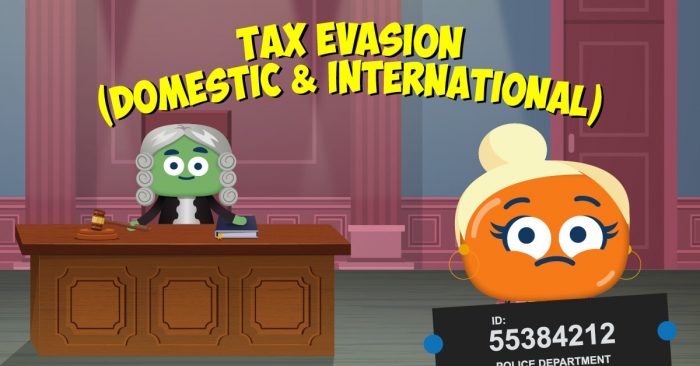 Tax Evasion (Domestic & International)